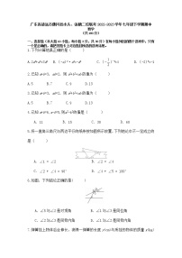 广东省清远市佛冈县水头中学、汤塘中学二校联考2022-2023学年七年级下学期期中数学试卷