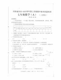 河南省商丘市豫东综合物流产业聚集区2022-2023学年七年级下学期4月期中数学试题