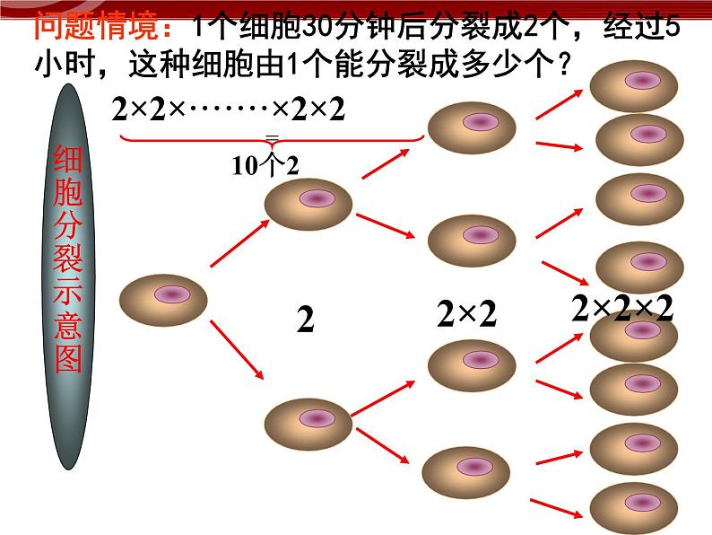 数学七年级上册1.5有理数的乘方课件PPT第2页