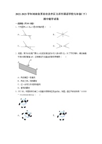 河南省开封市龙亭区立洋外国语学校2022-2023学年七年级下学期期中数学试卷