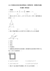 2023年黑龙江省佳木斯市桦南县三校四区第一次模拟考试数学试题+