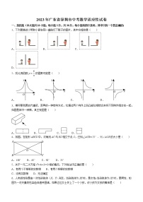 2023年广东省深圳市中考适应性数学试卷（含答案）