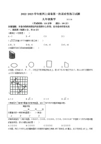 2023年江苏省扬州市高邮市九年级中考一模数学试题（含答案）