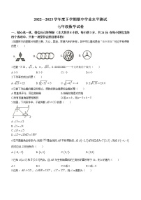 湖北省孝感市孝昌县2022-2023学年七年级下学期4月期中数学试题（含答案）