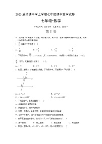 湖南省长沙市宁乡县成功塘中学2022-2023学年七年级下学期期中数学试卷（含答案）