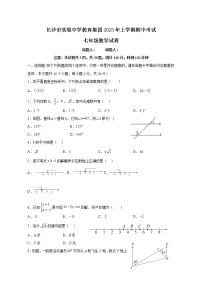 湖南省长沙市实验教育集团2022-2023学年七年级下学期期中考试数学试题（含答案）