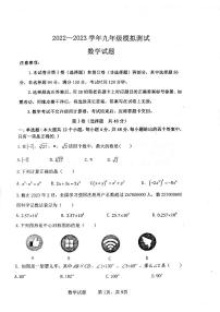 2023年山东省泰安市东平县中考二模数学试题