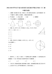 2022-2023学年辽宁省大连市普兰店区部分学校九年级（下）期中数学试卷(含解析）