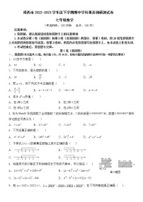 广西百色市靖西市2022-2023学年七年级下学期4月期中数学试题