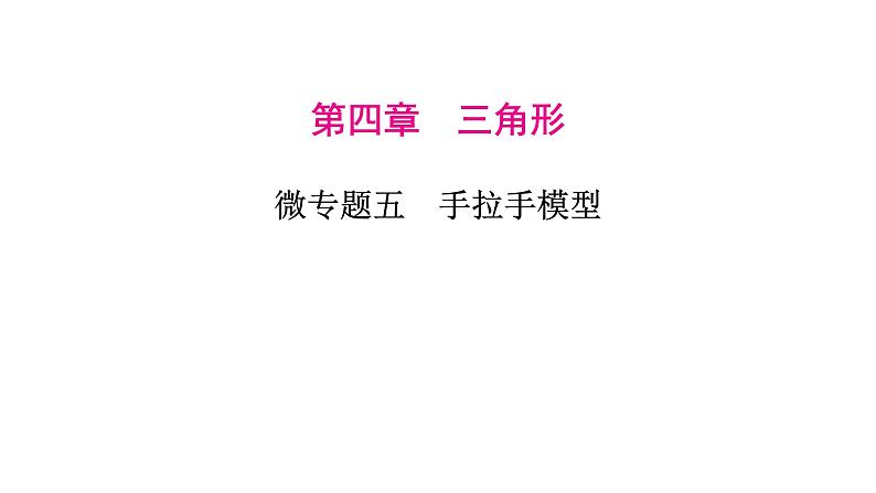 2023年中考数学微专题复习课件5 手拉手模型01