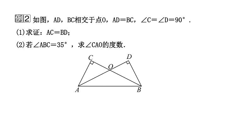 2023年中考数学小专题复习课件3 全等三角形的模型05