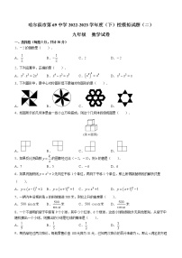 2023年黑龙江省哈尔滨市第六十九中学中考二模数学试题（含答案）