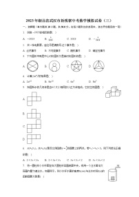 2023年湖北省武汉市新观察中考数学模拟试卷（三）（含答案）