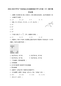 2022-2023学年广东省汕头市龙湖实验中学七年级（下）期中数学试卷（含解析）