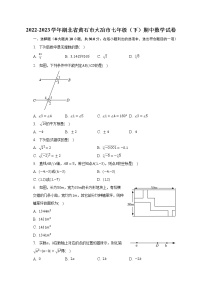 2022-2023学年湖北省黄石市大冶市七年级（下）期中数学试卷（含解析）