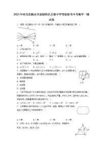 2023年河北省衡水市滨湖新区志臻中学等校联考中考数学一模试卷(含答案解析)