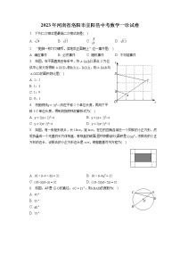 2023年河南省洛阳市宜阳县中考数学一诊试卷(含答案解析)