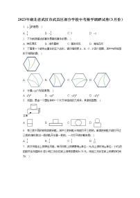 2023年湖北省武汉市武昌区部分学校中考数学调研试卷（3月份）(含答案解析)