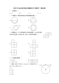 2023年山东省青岛市城阳区中考数学一模试卷(含答案解析)