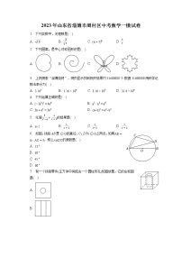 2023年山东省淄博市周村区中考数学一模试卷(含答案解析)