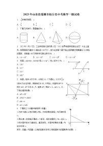 2023年山东省淄博市桓台县中考数学一模试卷(含答案解析)