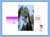 湘教版數(shù)學(xué)九上 3.5 相似三角形應(yīng)用 課件