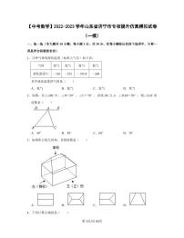 【中考数学】2022-2023学年山东省济宁市专项提升仿真模拟试卷（一模二模）含答案