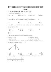 【中考数学】2022-2023学年上海市奉贤区专项突破仿真模拟卷（一模二模）含答案