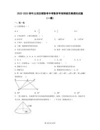 2022-2023学年北京区域联考中考数学专项突破仿真模拟试题（一模二模）含答案