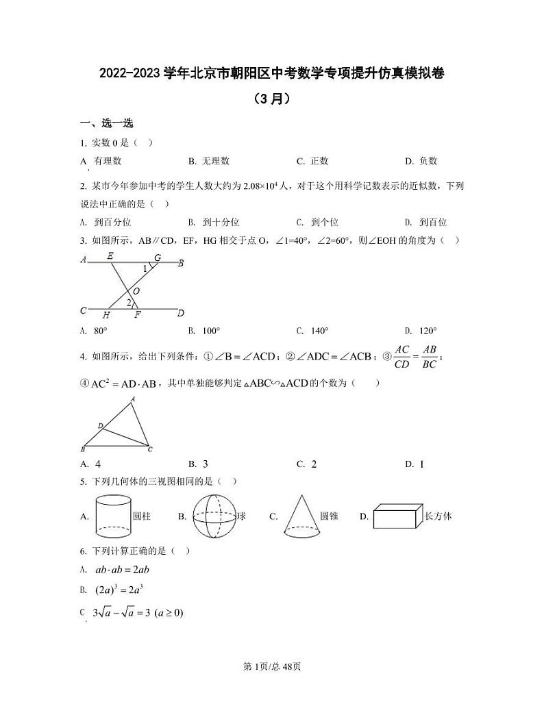 2022-2023学年北京市朝阳区中考数学专项提升仿真模拟卷（3月4月）含答案01