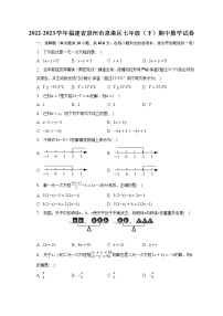 2022-2023学年福建省泉州市泉港区七年级（下）期中数学试卷（含解析）