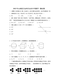 2023年云南省文山州文山市中考数学一模试卷（含解析）