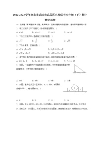 2022-2023学年湖北省武汉市武昌区八校联考八年级（下）期中数学试卷（含解析）