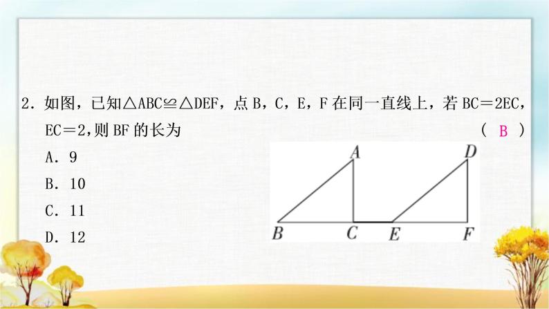 中考数学复习方法技巧突破(四)全等三角形之六大模型作业课件03