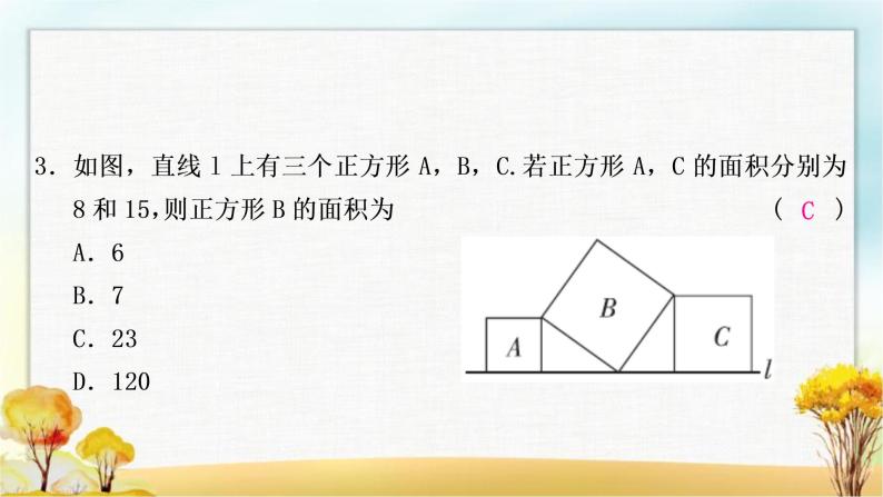 中考数学复习方法技巧突破(四)全等三角形之六大模型作业课件04