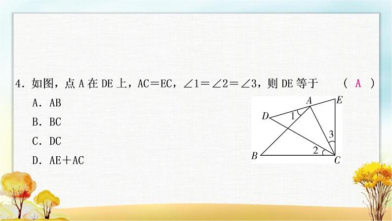 中考数学复习方法技巧突破(四)全等三角形之六大模型作业课件05