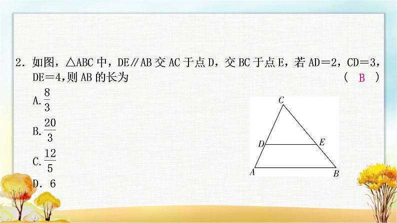 中考数学复习方法技巧突破(五)相似三角形之五大模型作业课件第3页