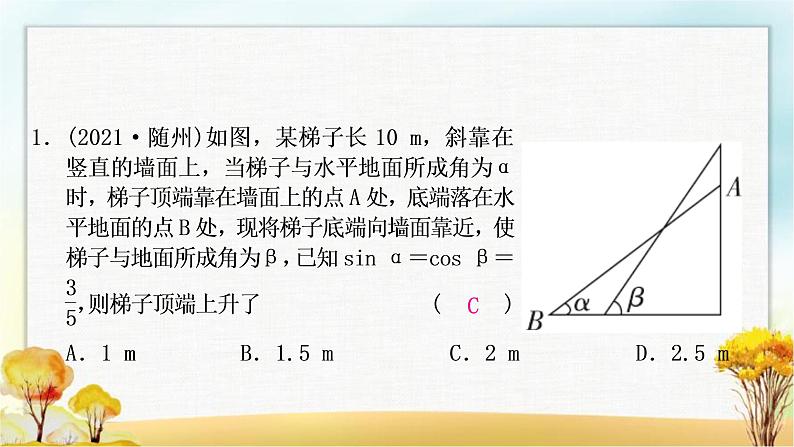 中考数学复习方法技巧突破(六)解直角三角形之四大模型作业课件02