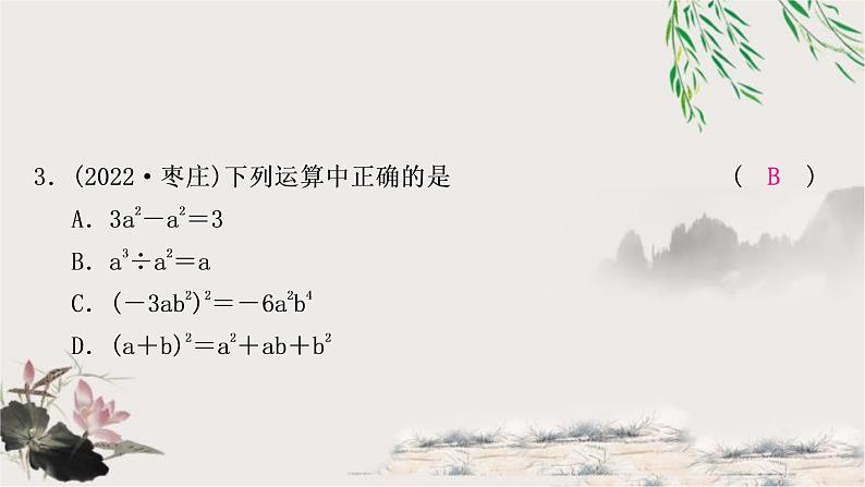 中考数学复习第一章第三节代数式、整式与因式分解作业课件第4页