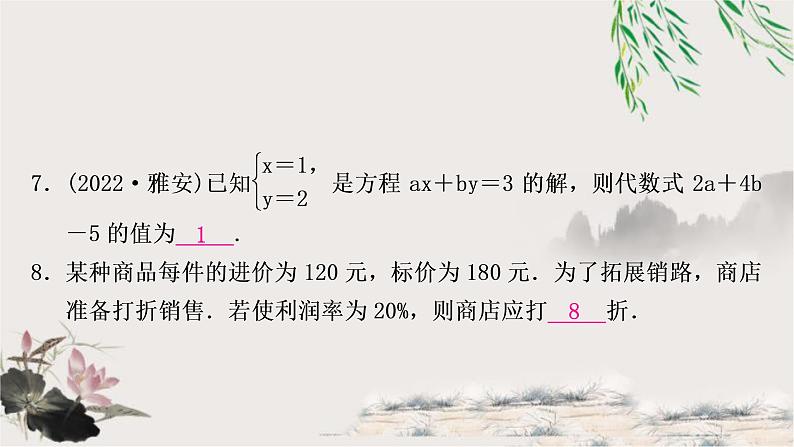 中考数学复习第二章第一节一次方程(组)及其应用作业课件第8页