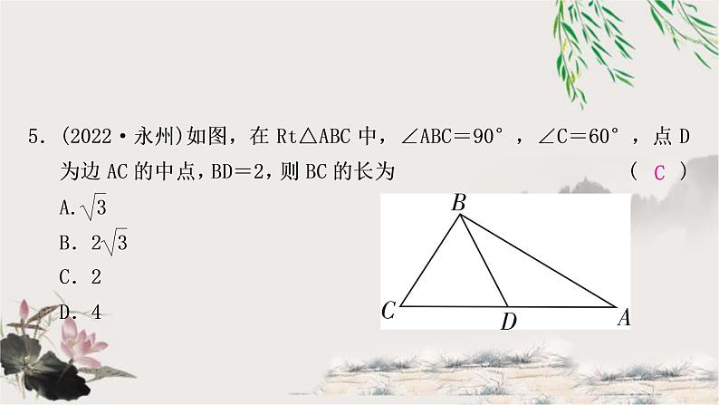 中考数学复习第四章第三节等腰三角形与直角三角形作业课件第6页