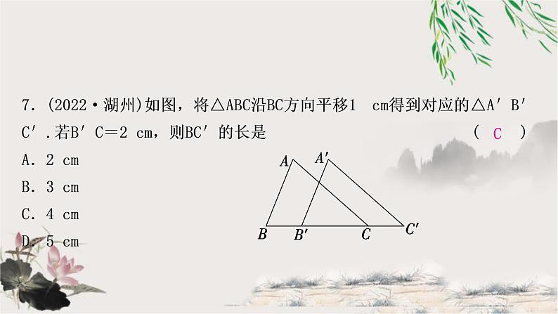 中考数学复习第七章第三节图形的平移、旋转、对称与位似作业课件第8页