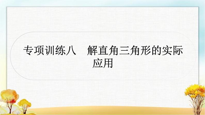 中考数学复习专项训练八解直角三角形的实际应用作业课件01