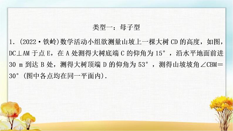 中考数学复习专项训练八解直角三角形的实际应用作业课件02