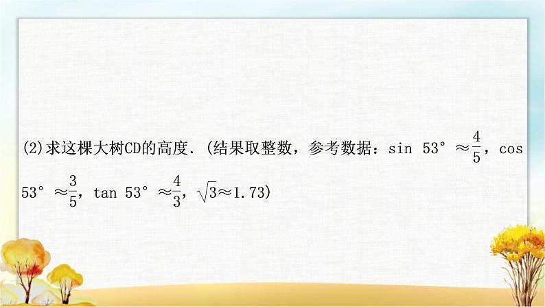 中考数学复习专项训练八解直角三角形的实际应用作业课件04