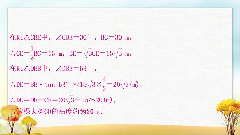 中考数学复习专项训练八解直角三角形的实际应用作业课件05