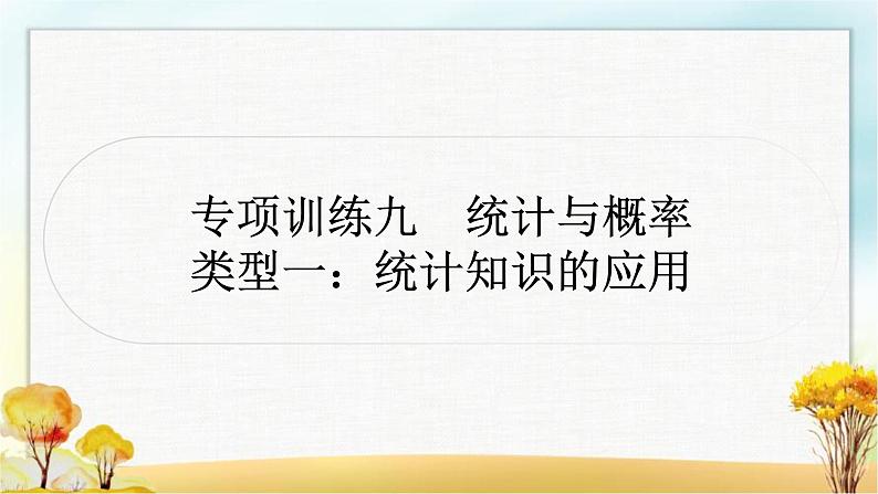 中考数学复习专项训练九统计与概率作业课件01