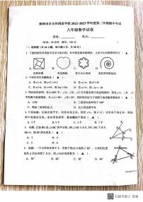 深圳百合外国语学校2022~2023学年八年级下学期期中考试数学试卷+答案