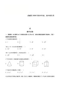 2020年甘肃省武威市中考数学试卷（原卷版）