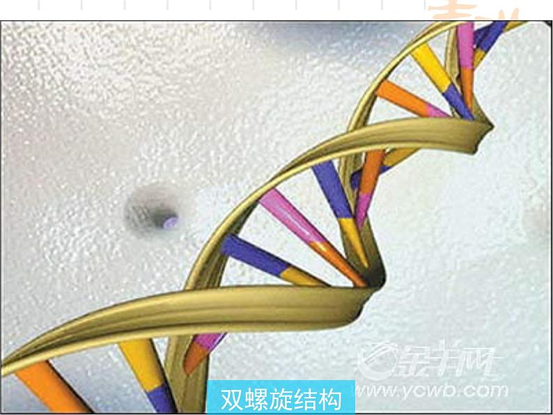 青岛版七年级数学上册1.1《我们身边的图形世界》 课件第5页